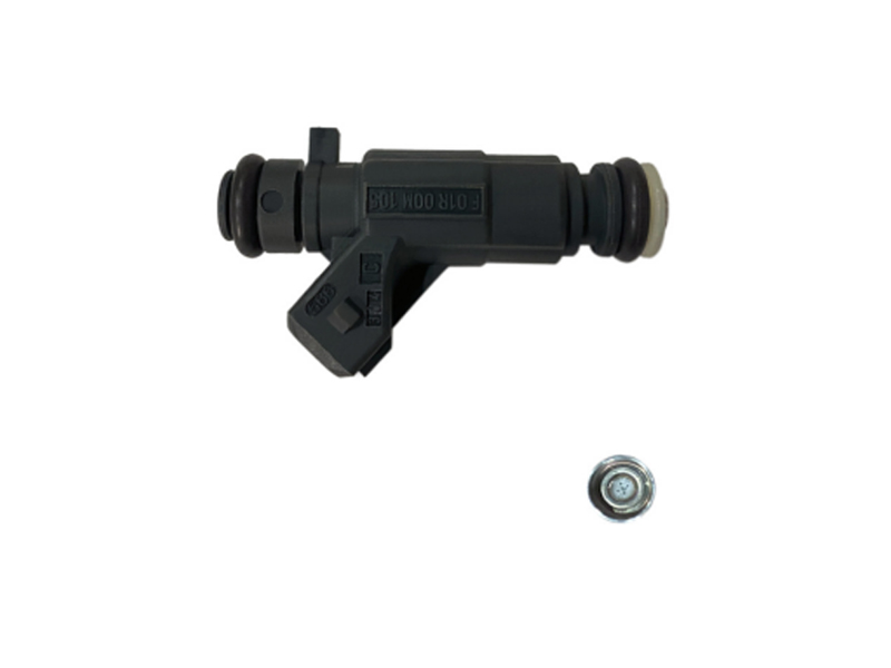 F01R00M105 Fuel Injector Nozzle