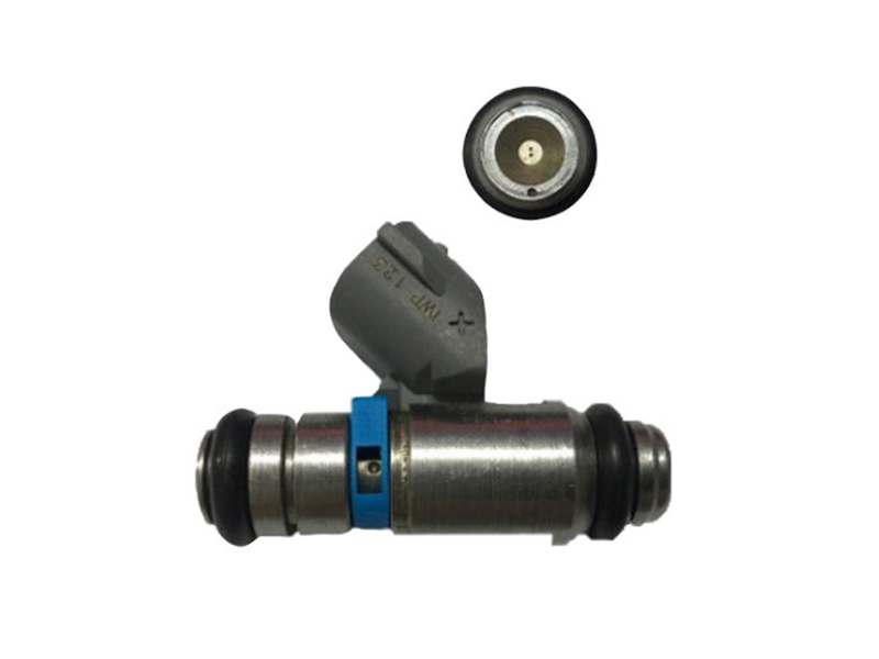 IWP123 Fuel Injector Nozzle